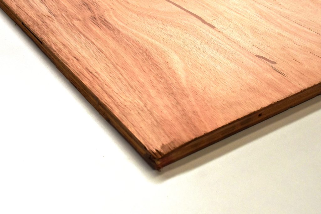 Pts Eucalipto Uruguay