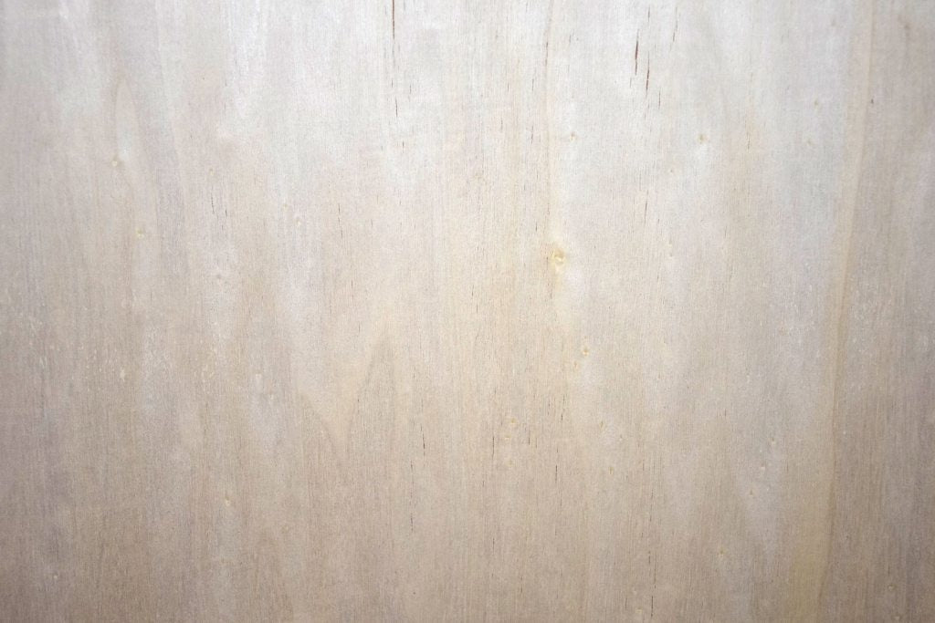 Poplar